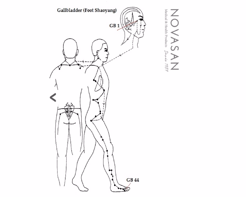 ¿Qué elemento es el hígado en medicina china?