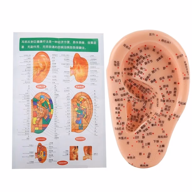¿Cuáles son los 5 elementos de la acupuntura?