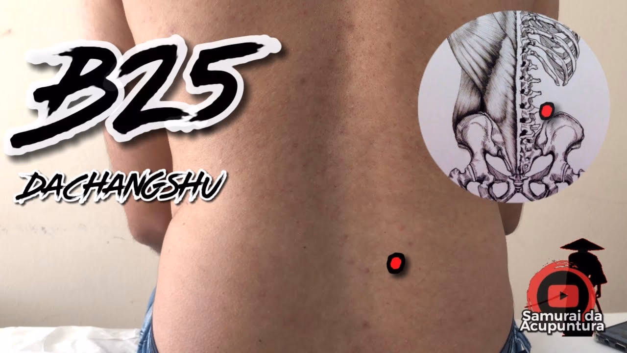 What is the acupuncture point of Dushu?