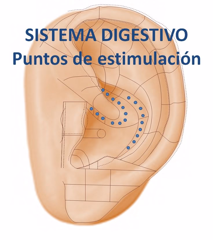 ¿Qué dedo presionar para hacer la digestión?