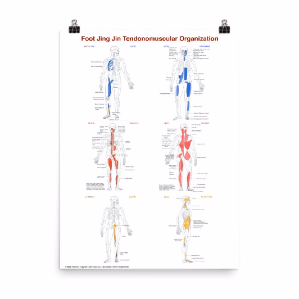 What is distal acupuncture?
