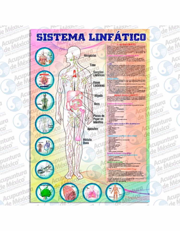 ¿Qué enfermedades se tratan con el drenaje linfático?