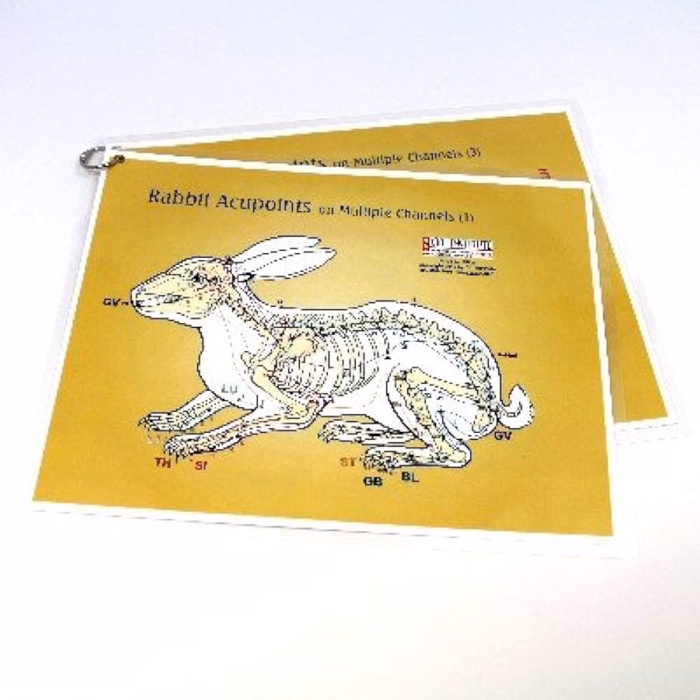 ¿Cómo quitar el estrés en los conejos?