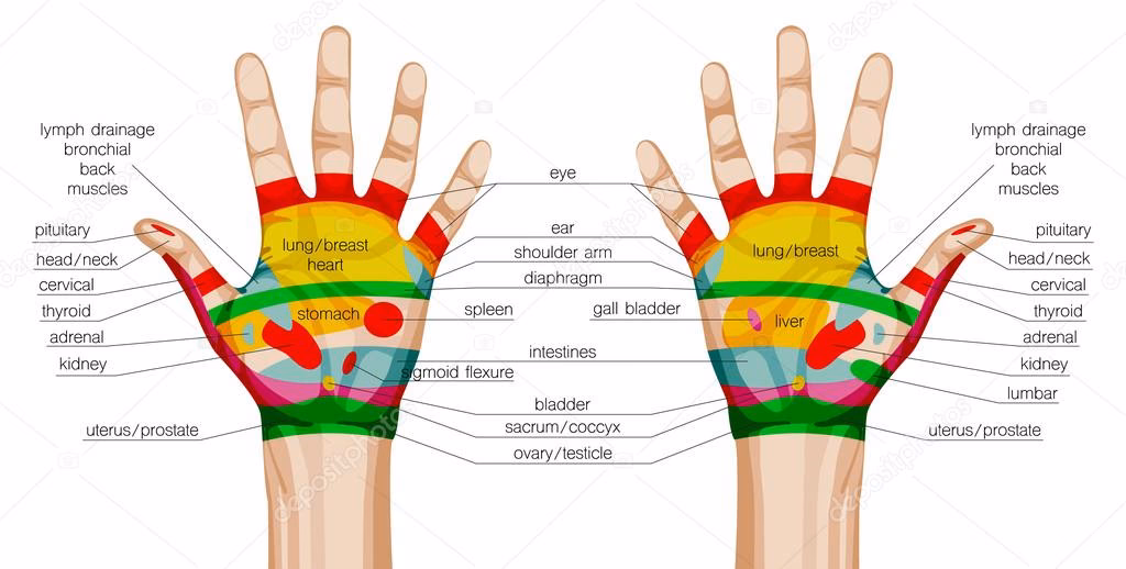 ¿La asistencia médica cubre la acupuntura?