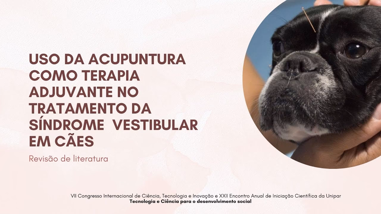 ¿Puede la acupuntura ayudar con el trastorno vestibular?