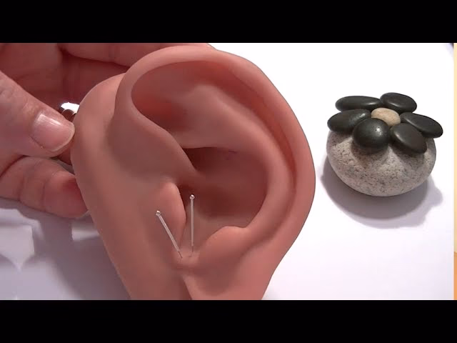 ¿Qué vitamina estimula la glándula pituitaria?