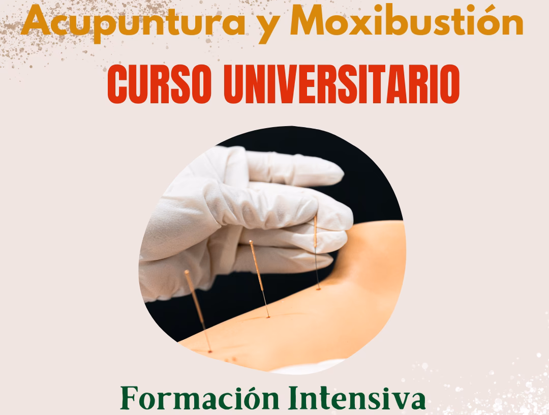 ¿Es posible obtener una licencia de acupuntura en línea?