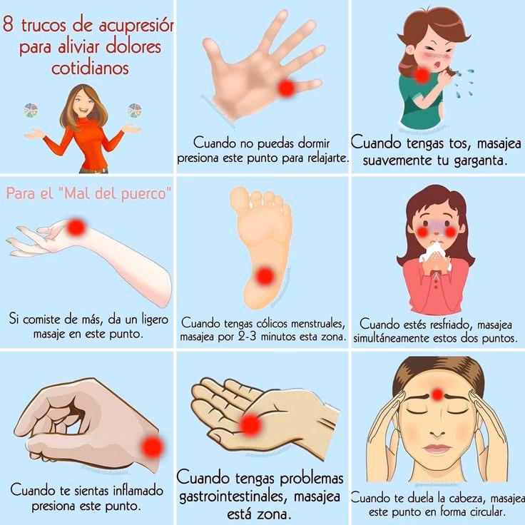 ¿Es cierto que los puercos se duermen después de comer?