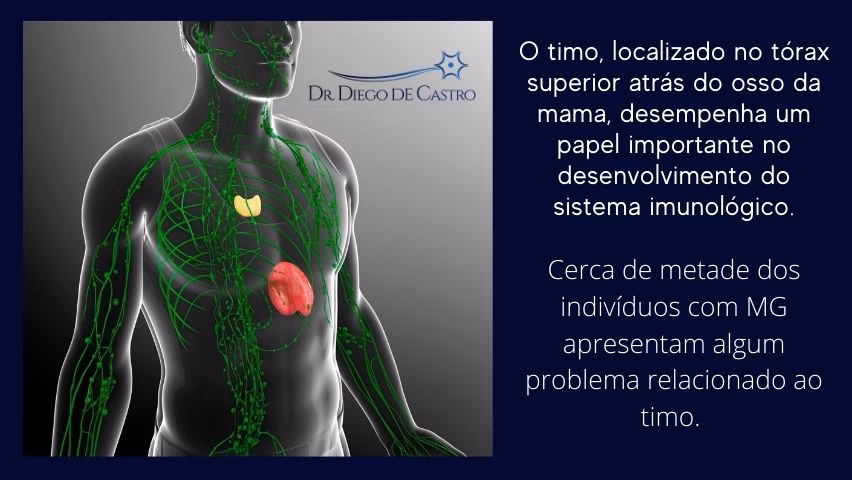 What is the best vitamin for myasthenia gravis?