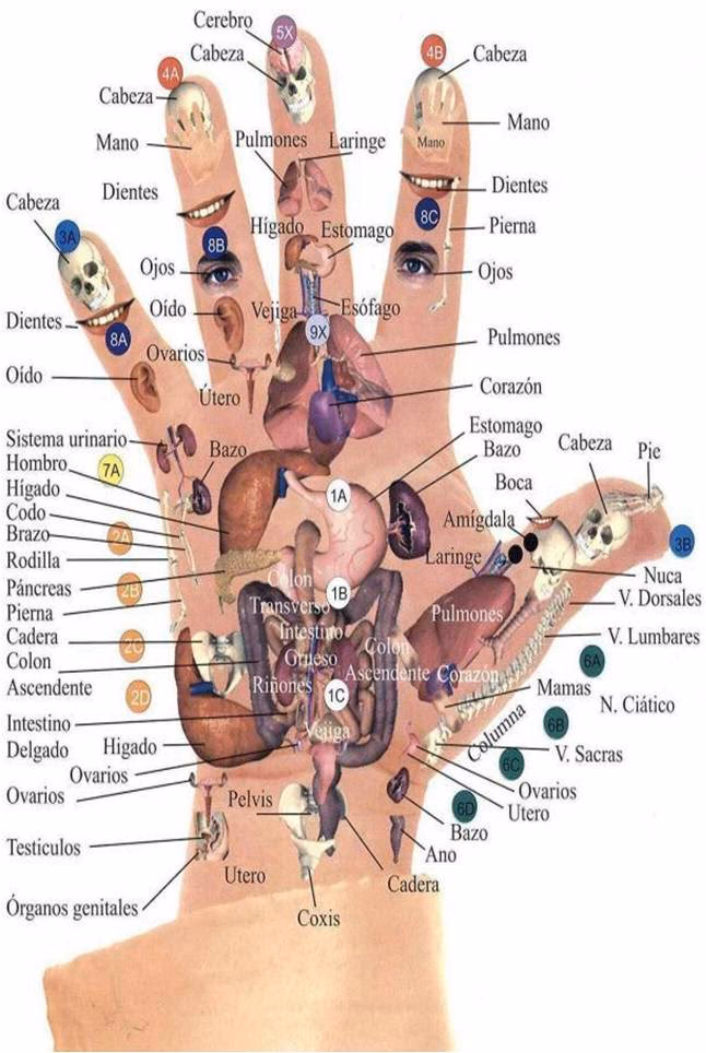 Qual ponto apertar para dormir?