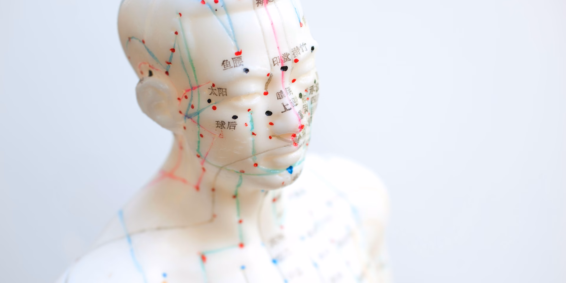 What does acupuncture do to the brain?