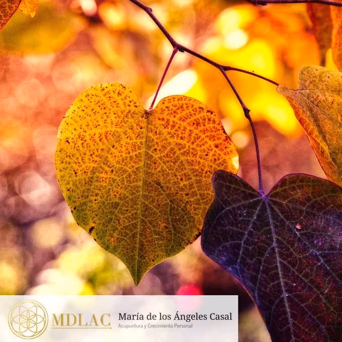 ¿Qué significa el otoño en la medicina china?