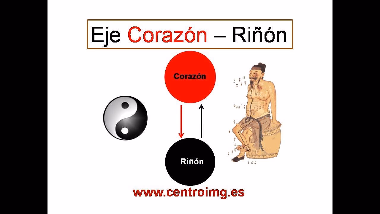 ¿Cómo deshacerse de la deficiencia de yin?