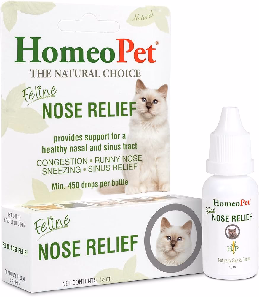 ¿Qué es la rinorrea en los gatos?