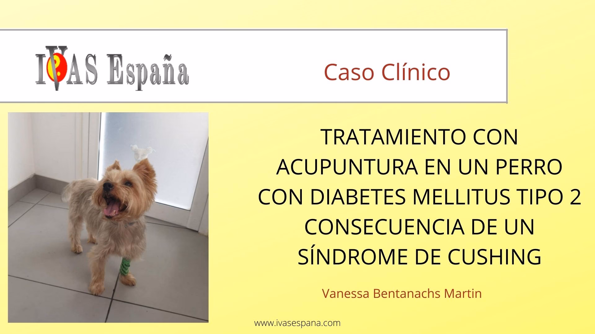 ¿Qué hierbas son buenas para la enfermedad de Cushing?