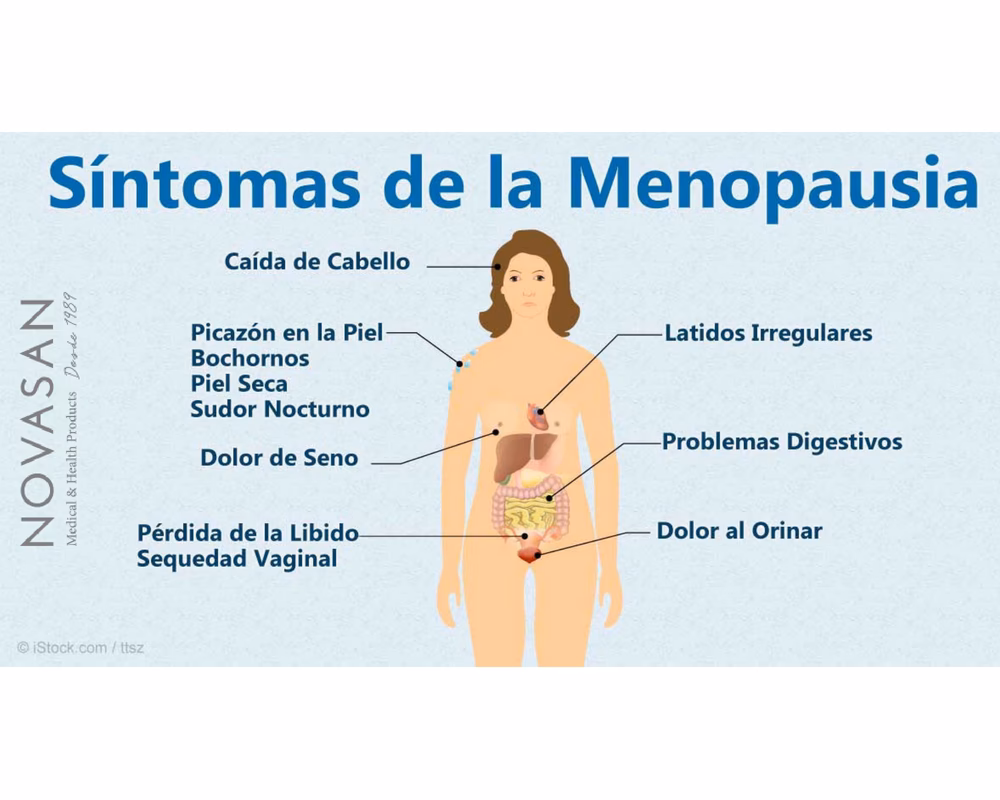 ¿Cuál es la mejor terapia para la menopausia?