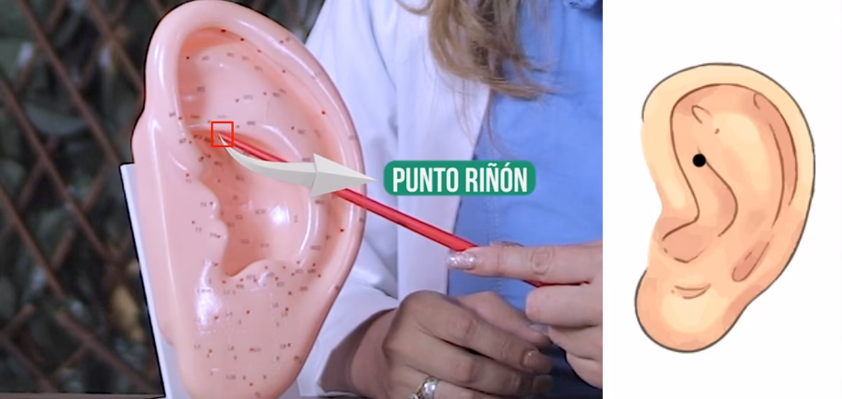 ¿Qué debe comer un paciente nefropata?