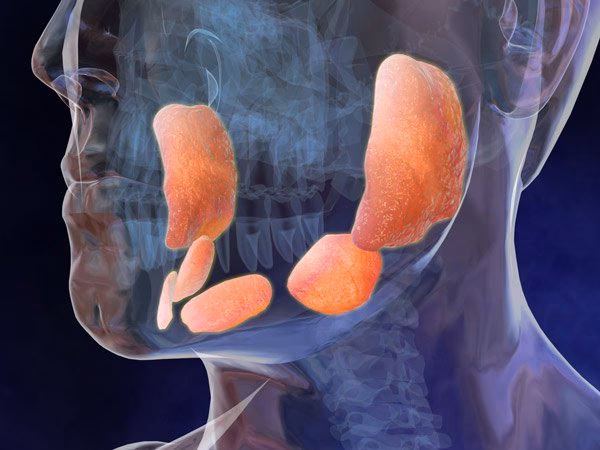 ¿Cuánto tarda en bajar la inflamación de las paperas?