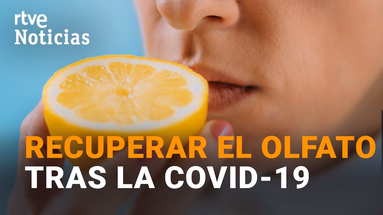 ¿Cómo se puede estimular el sentido del gusto?