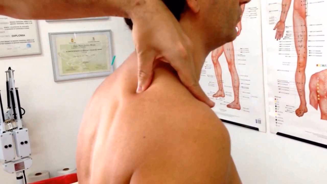 ¿Cómo sanar tu salud hormonal?