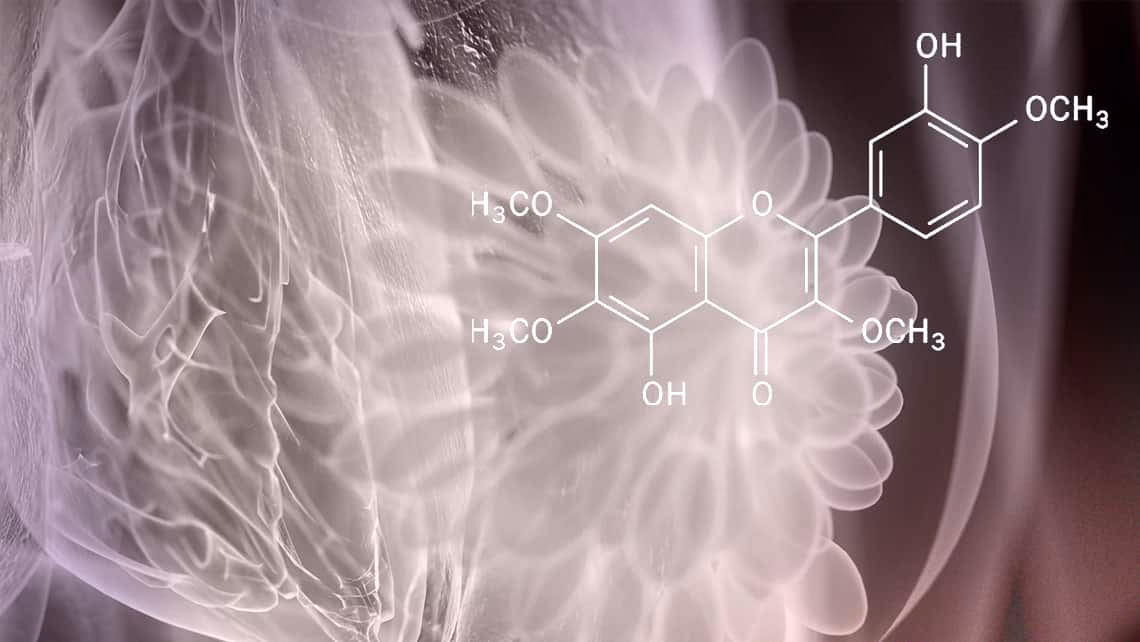¿La acupuntura reduce la prolactina?