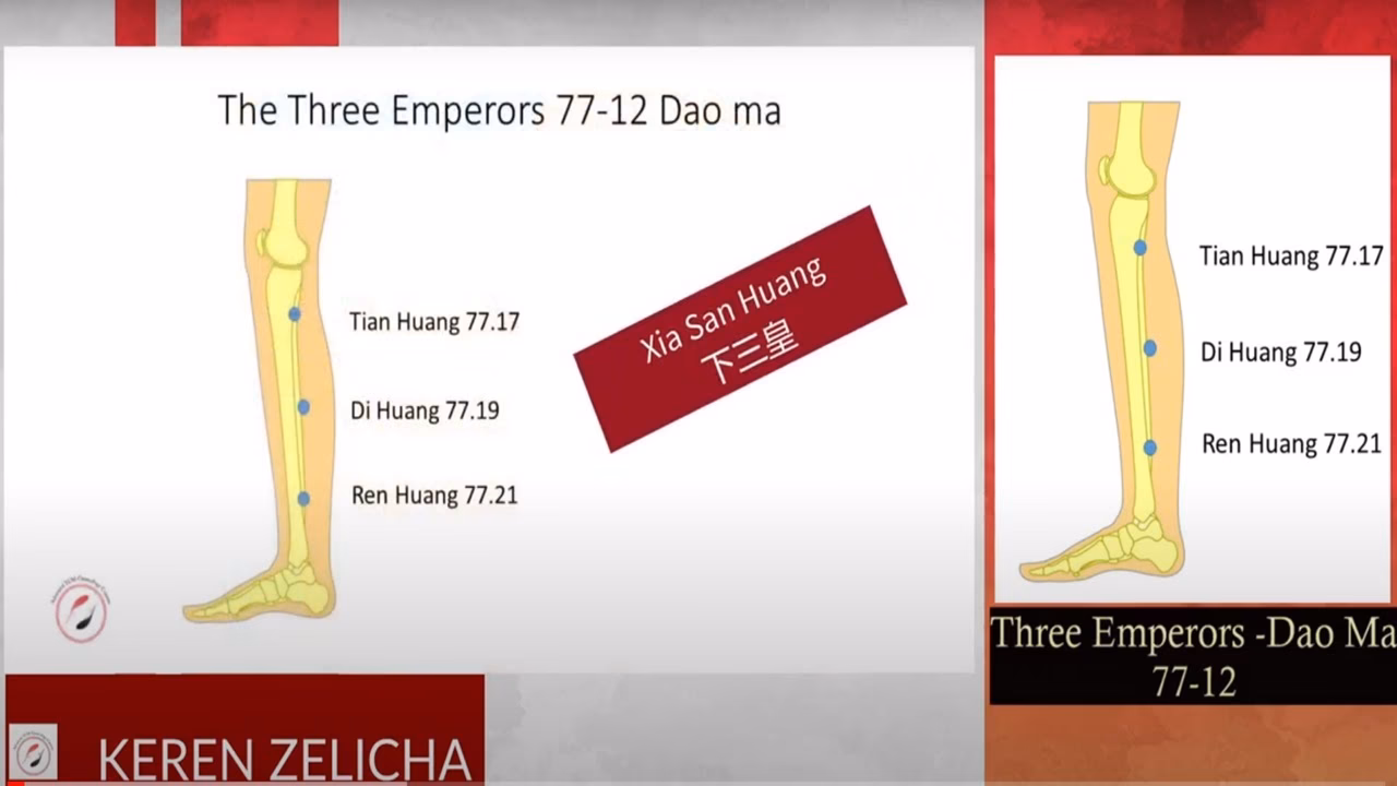 What is the Chinese herb for proteinuria?