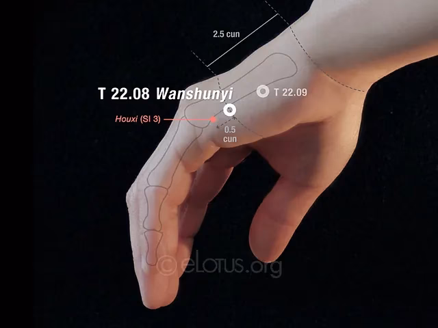 What is the best drink for Sjögren's?