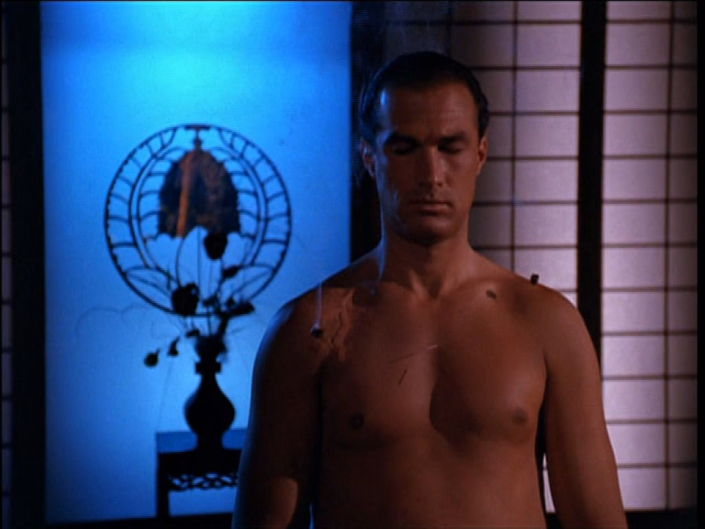 Did Steven Seagal work for the CIA?