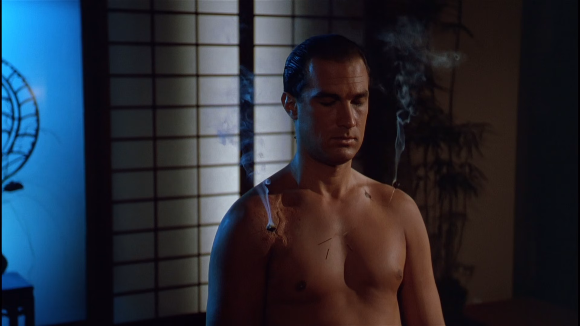 What movie does Steven Seagal go to a coma for 7 years?