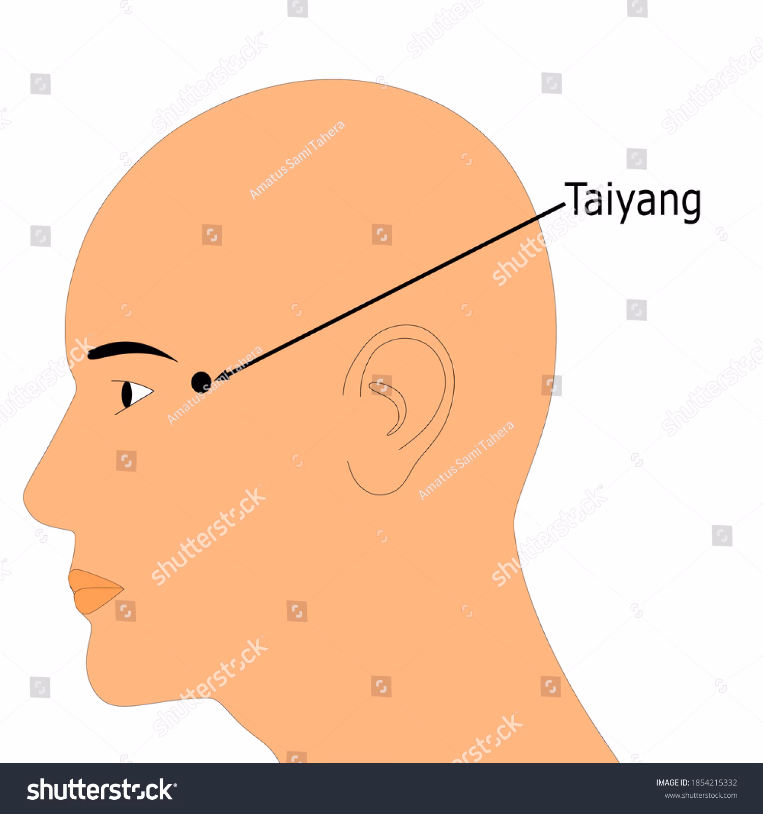 What does taiyang mean?