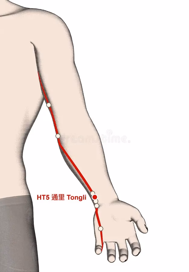 What is the Tong Zi Liao acupuncture point?