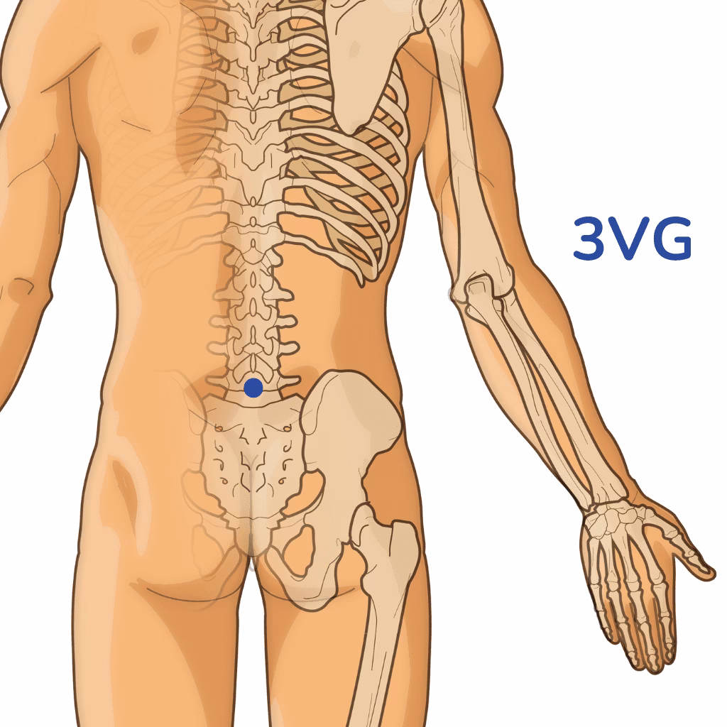 What is GV 26 acupuncture point used for?