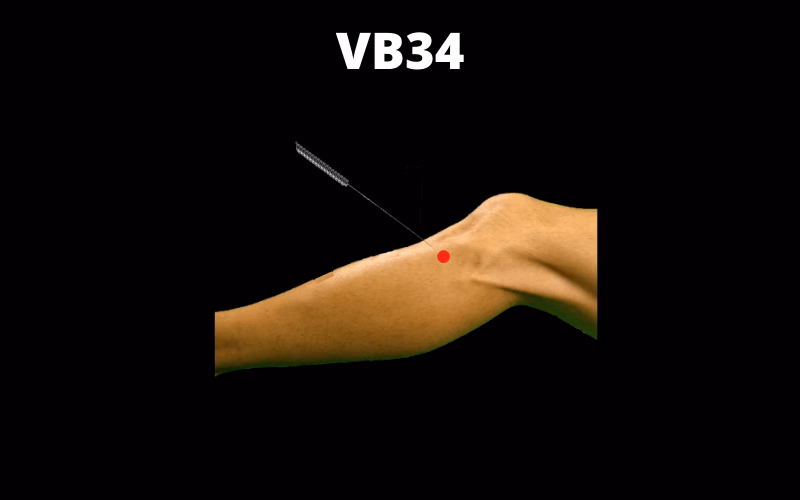 Where is the Yanglingquan acupuncture point?