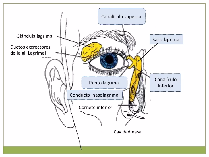¿Qué hacer cuando el lagrimal está tapado?
