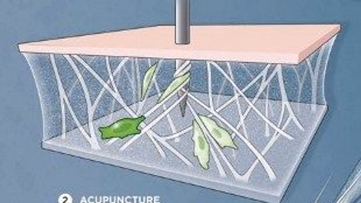 Is there scientific evidence for Chinese medicine?