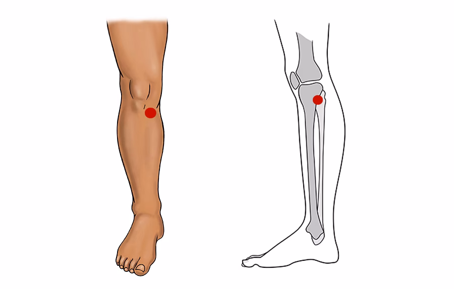 Where is the reflexology point for the knee?