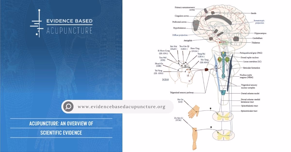 Is placebo as healer legitimate or sham?