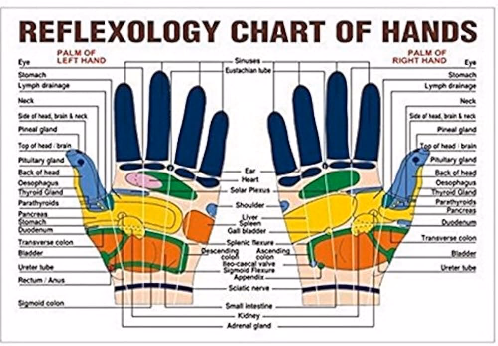 ¿Cuáles son los beneficios de los anillos sensoriales?