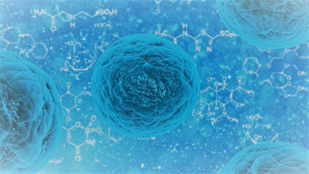 How do you get Akkermansia bacteria?