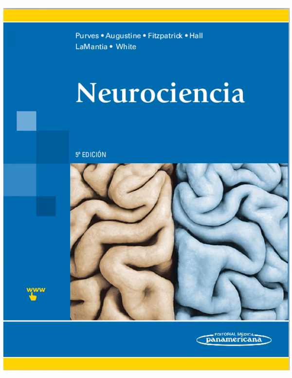 ¿La acupuntura activa el sistema nervioso parasimpático?