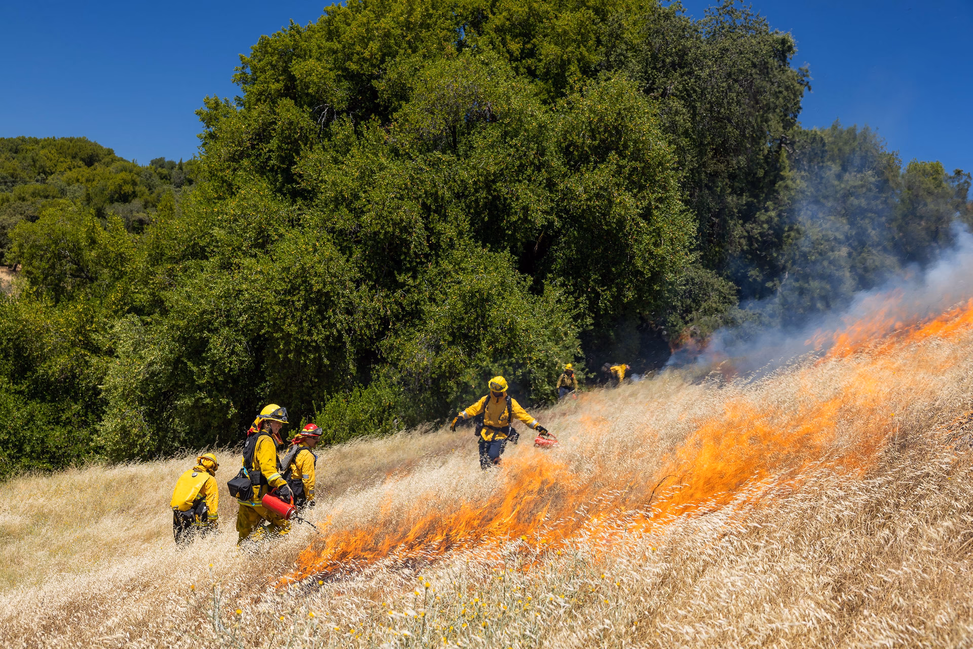 ¿Cuánto te pagan en Canyon Ranch?
