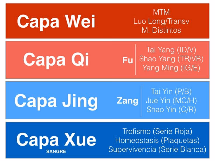 Quais são os 12 meridianos principais?