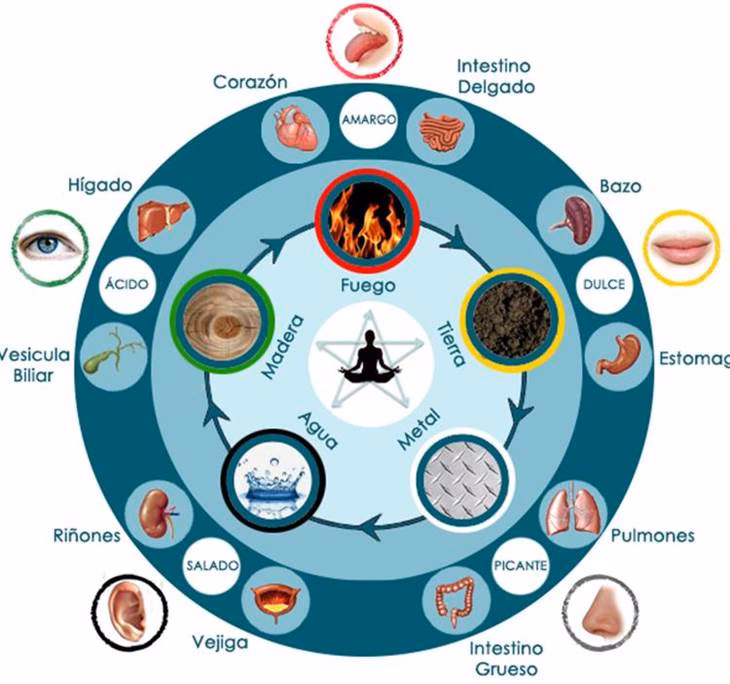 ¿Qué es el elemento fuego en la acupuntura?