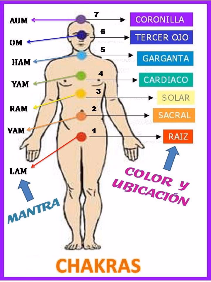 ¿Puede la acupuntura curar los chakras?