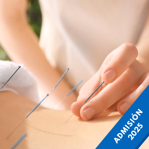 ¿Cuánto vale una consulta de acupuntura?