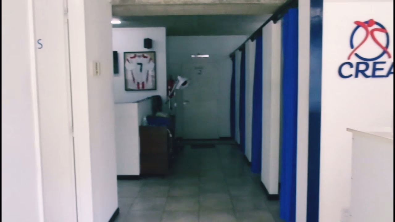 ¿Cuáles son los tres tipos diferentes de kinesiología?