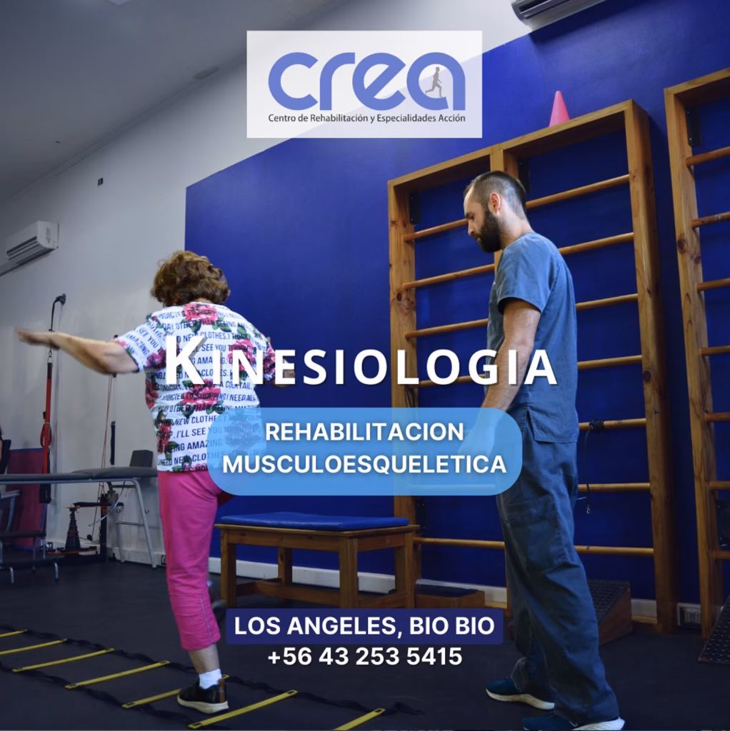 ¿Cuáles son los tres tipos diferentes de kinesiología?