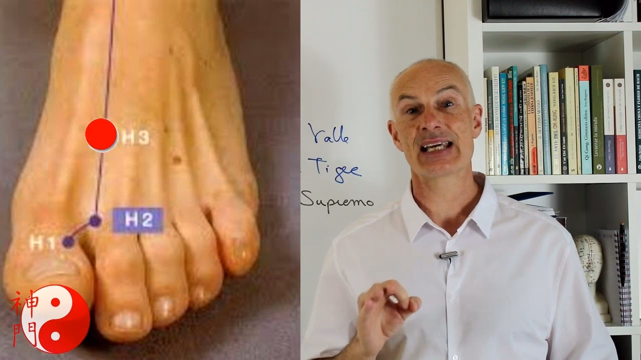 ¿Cuáles son las cuatro puertas de los puntos de acupuntura?