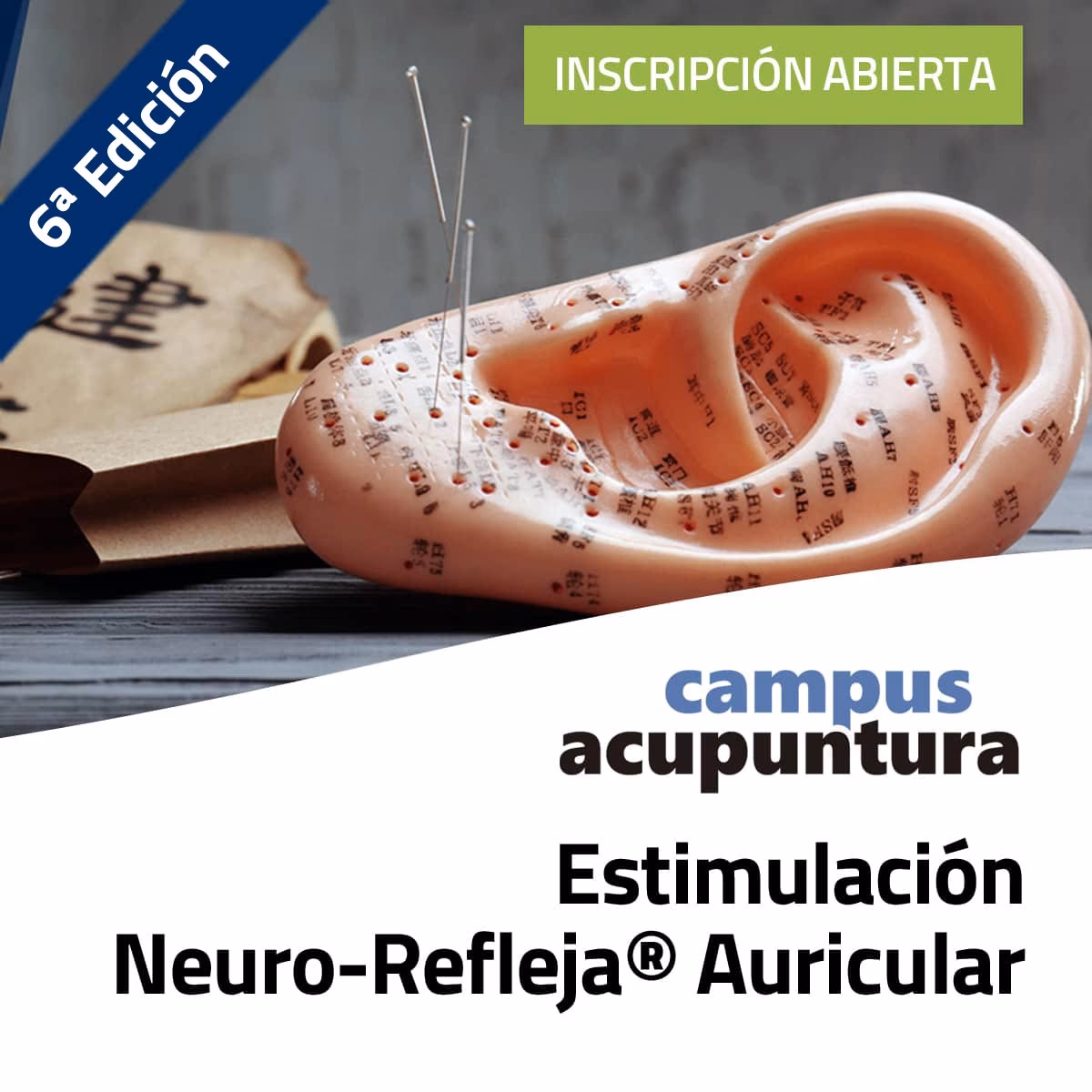¿Cuánto dura el curso de auriculoterapia?