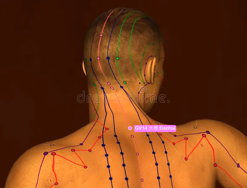 ¿Qué es el punto dazhui?